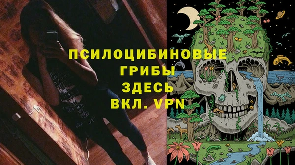 каннабис Аркадак